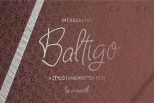 Baltigo Font for Business Branding