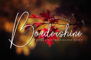 Bordershine Font for Elegant Branding