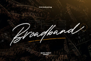 Broadband Font: Elegant Script for Crafters