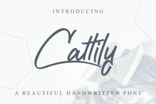 Cattily Font: Cool Script for Digital Campaigns