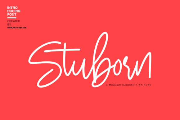 Stuborn Font Review